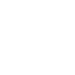 Servicios de Gestión Estratégica
