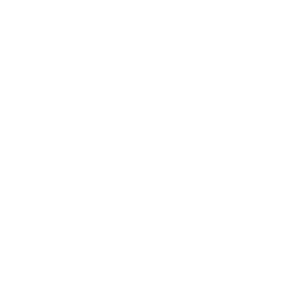 Servicios en Procesos de Negocios